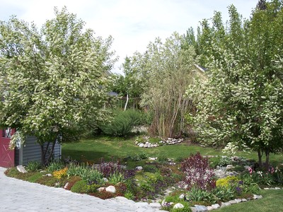 gallery/medium/0 (24)-Garden-Sun-Valley-Idaho.jpg